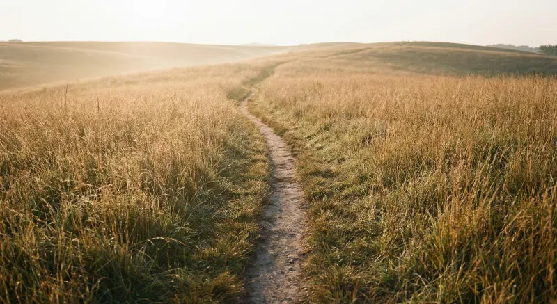 Lösungsorientiert & Individuell